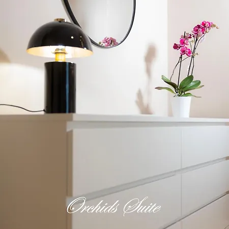 Orchids * Bari